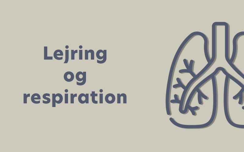 Lejring og respiration