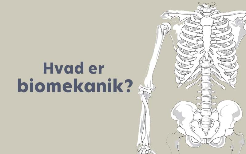 Derfor skal du kende til biomekanik
